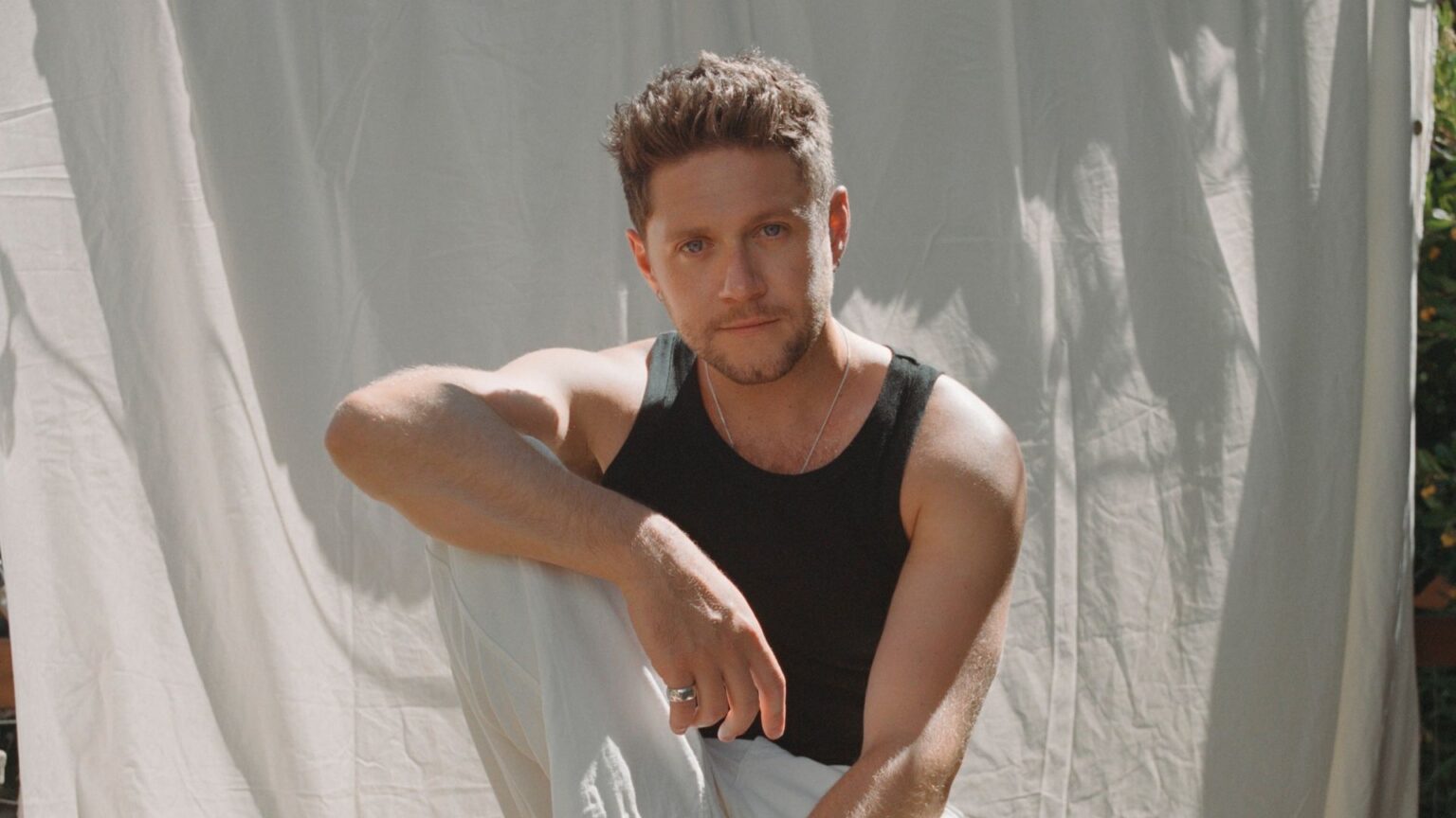 Dinner Party: em seu quarto disco solo, Niall Horan volta com canções sentimentais e acústicas